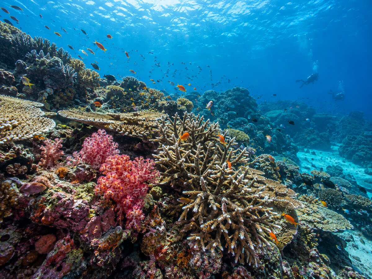 Koh Lipe