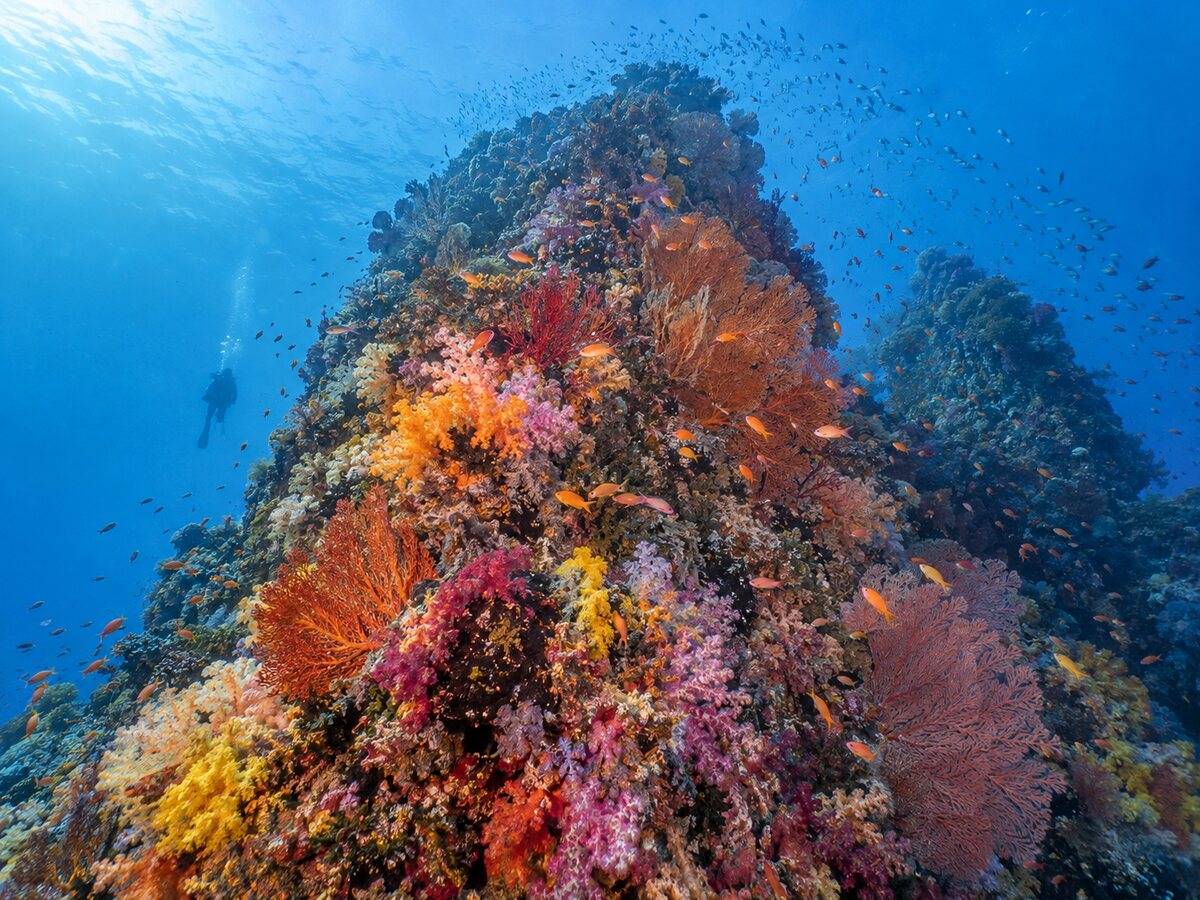 North Andaman